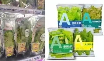 苏州松下生产科技新植物工厂蔬菜出货